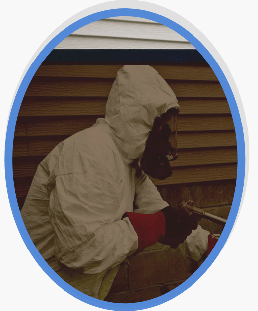 Pest Control Mornington Peninsula