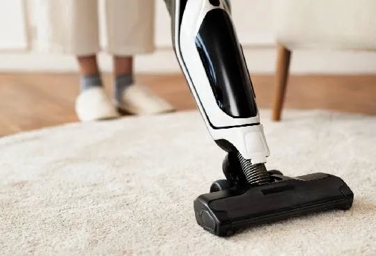 Choose the professional among the professional at Carpet Cleaning Point Cook